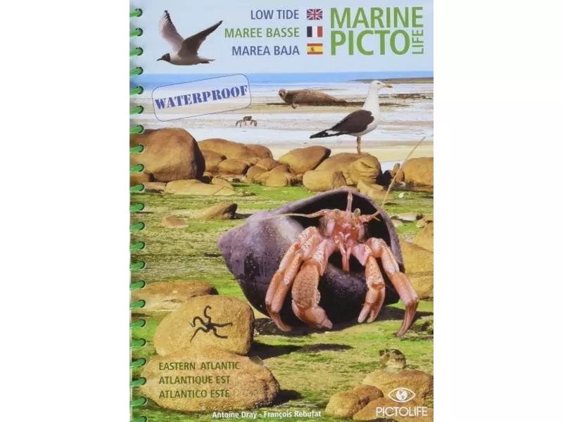 GUIDE MARINE PICTO MAREE BASSE