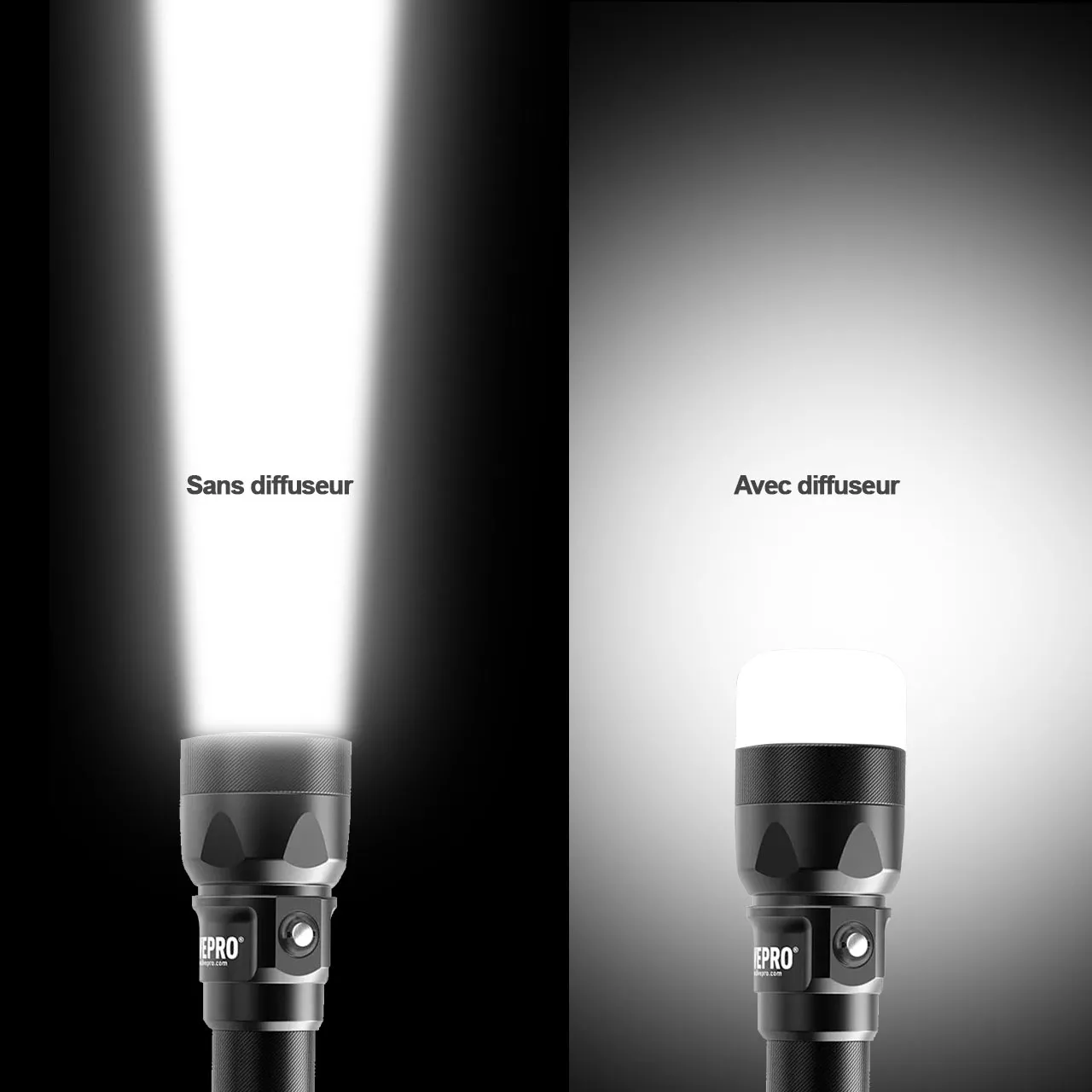 **BOUT. 12L CT 1S ROB.EN144.1