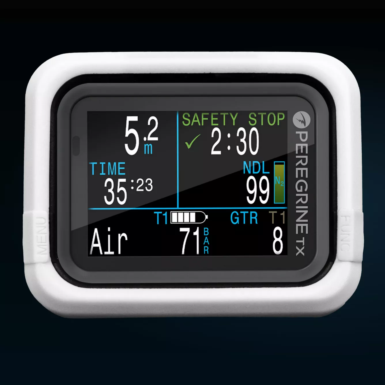 PROTECTION SILICONE PEREGRINE