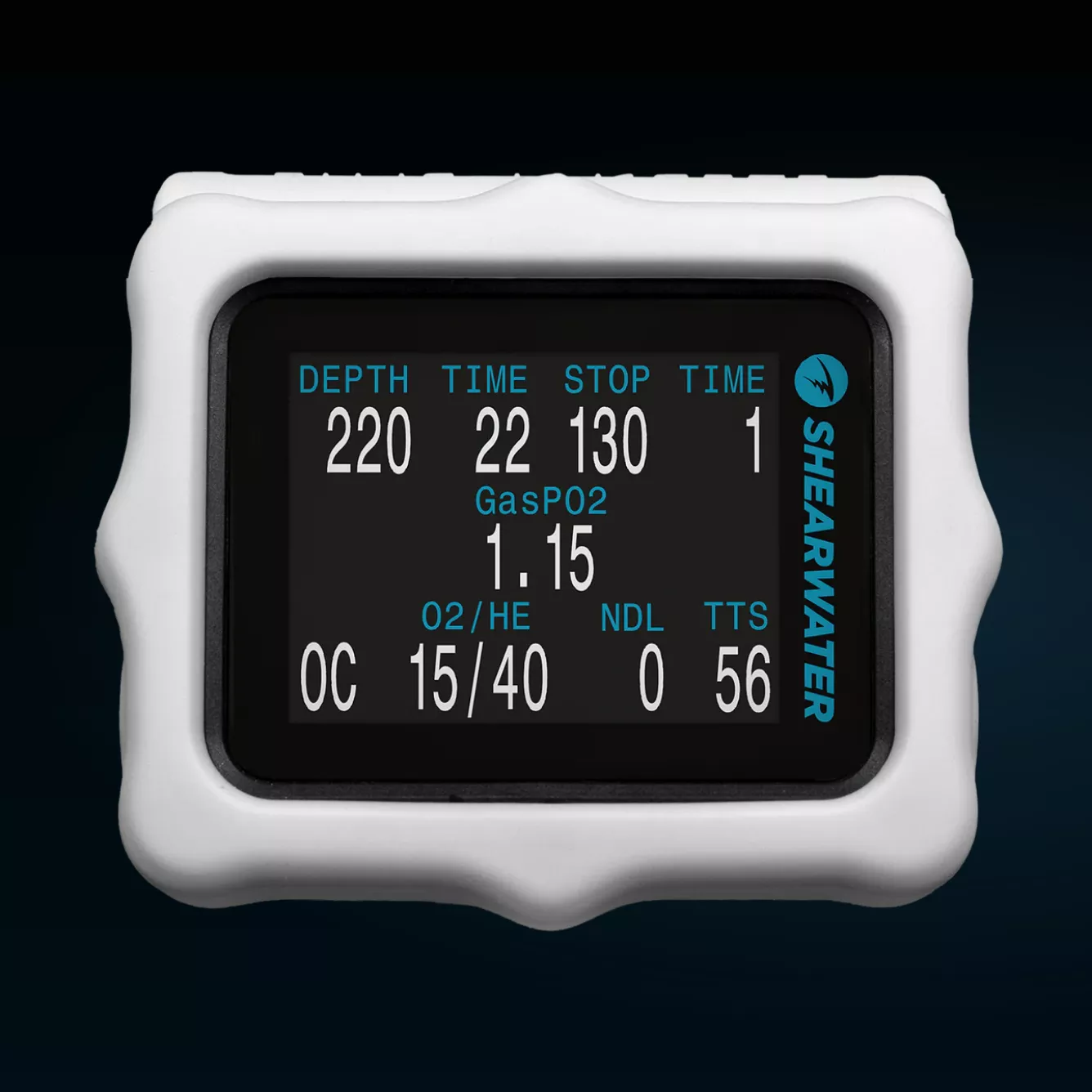 PROTECTION SILICONE PERDRIX