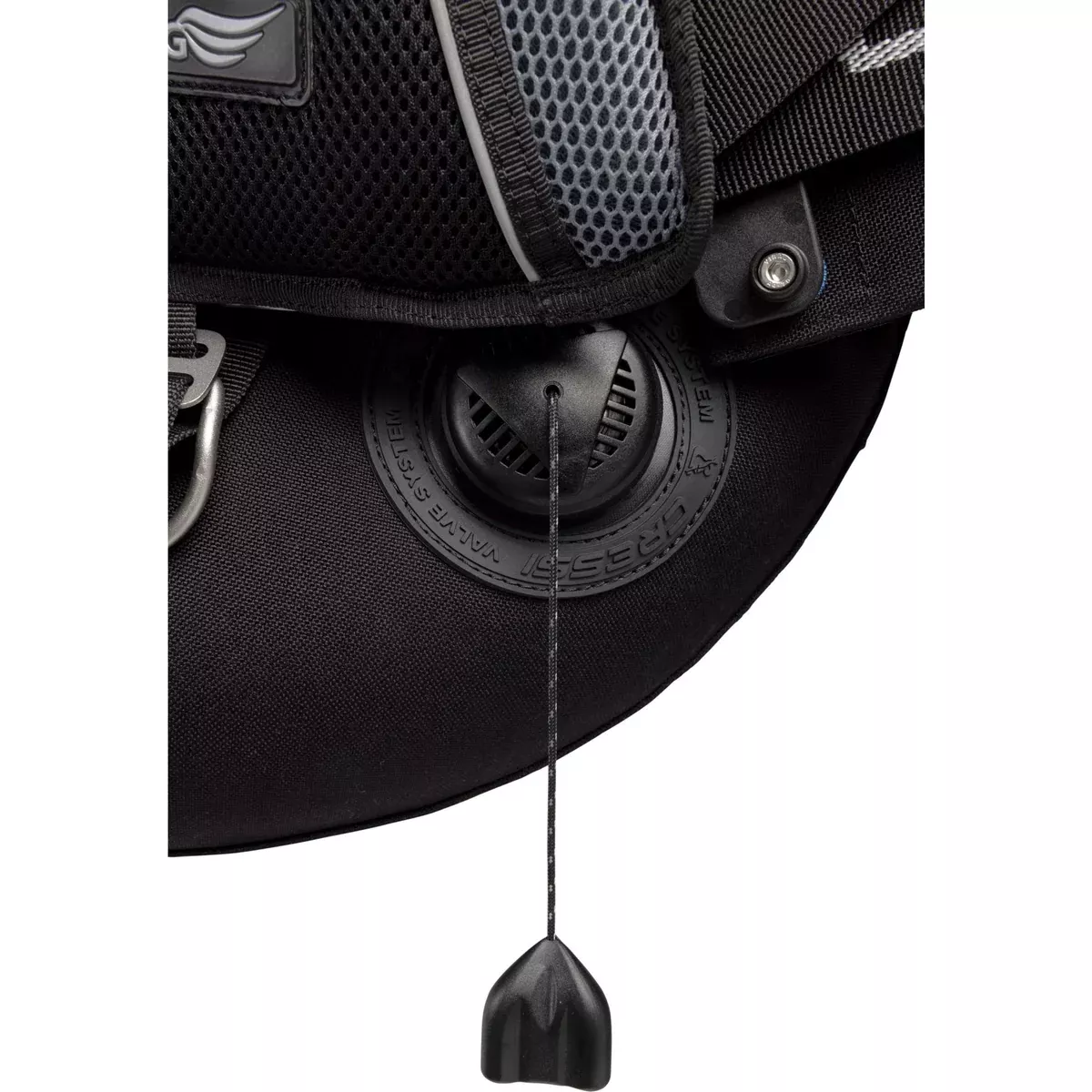 PLAQUE DORSALE AQUAWING