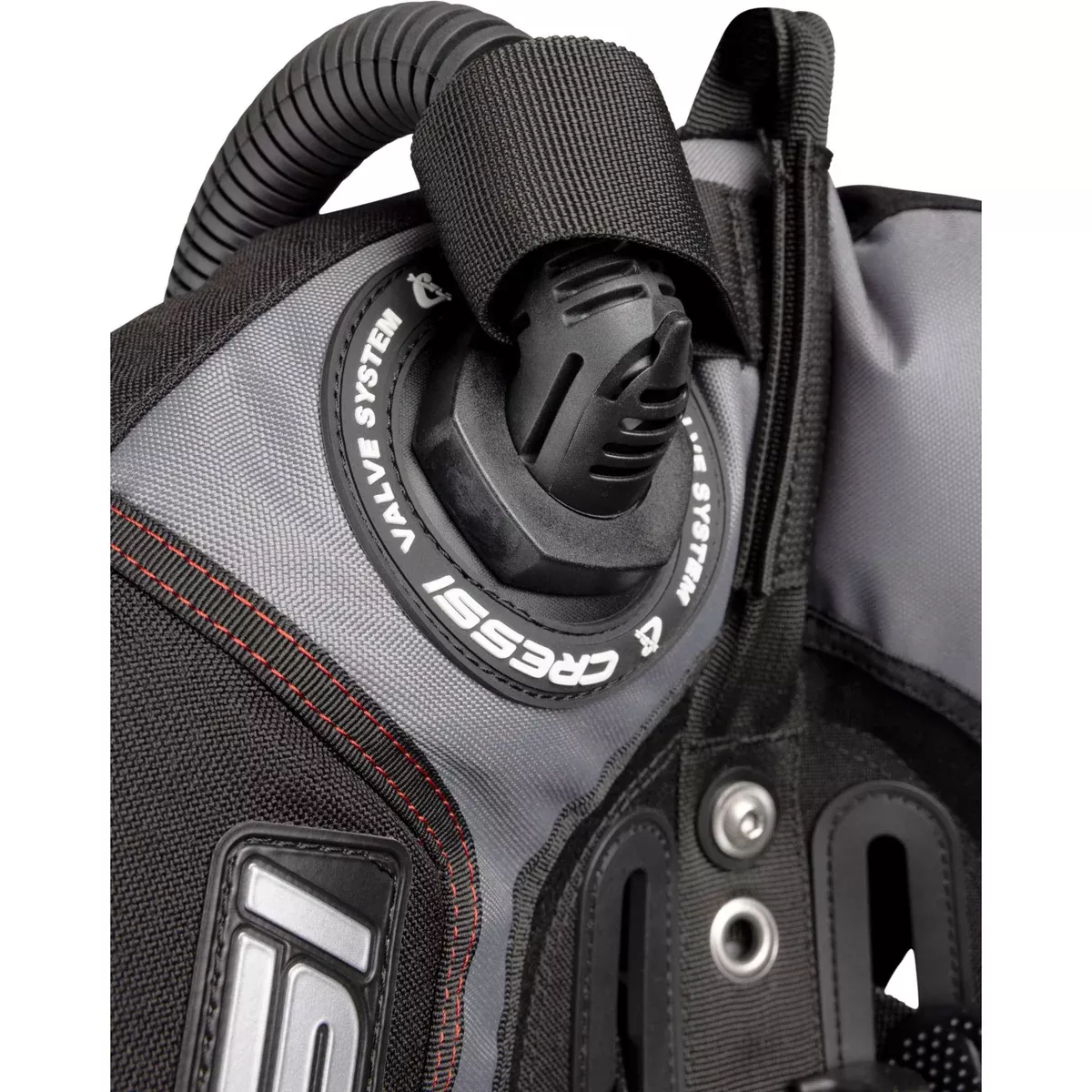 PLAQUE DORSALE AQUAWING