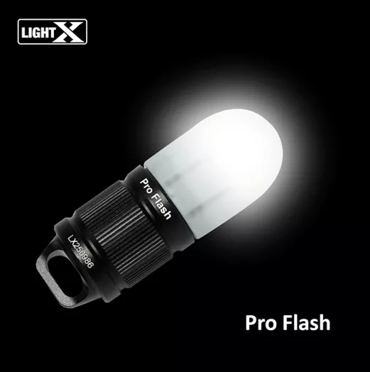 FLASH PRO LIGHT X DIVEPRO